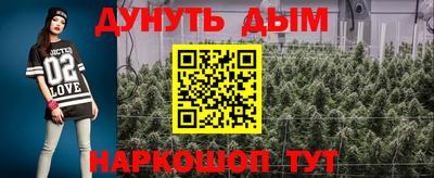 прущие крисы Малгобек