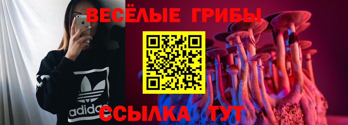 Черняховск  наркошоп  Вход с VPN  Псилоцибиновые грибы прущие грибы  Галлюциногенные грибы MAGIC MUSHROOMS 