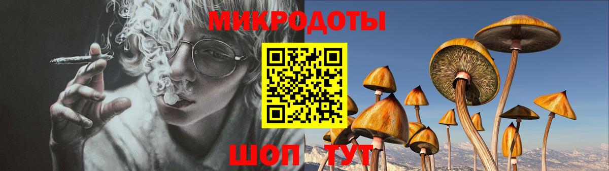 Галлюциногенные грибы GOLDEN TEACHER Черняховск